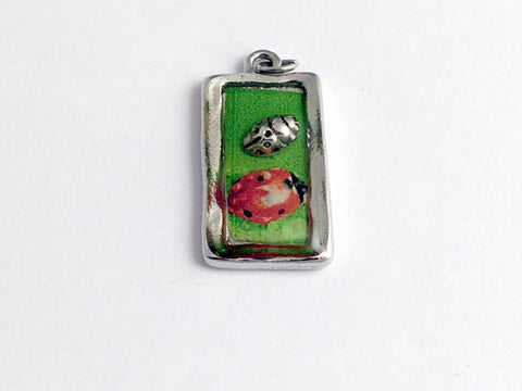 Pewter frame, ladybug print, sterling silver lady bug pendant-resin,ladybugs
