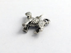Sterling Silver Afghan Hound dog charm or pendant- Afghans, dogs, canine, Sight